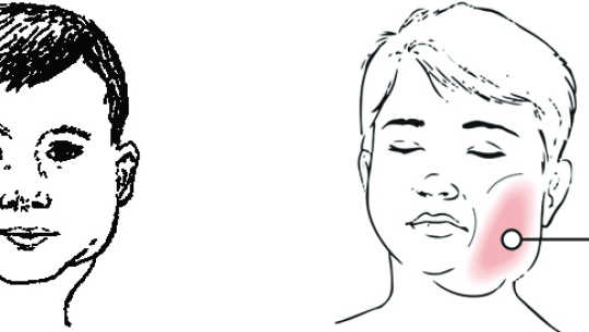 सांकेतिक तस्बिर 