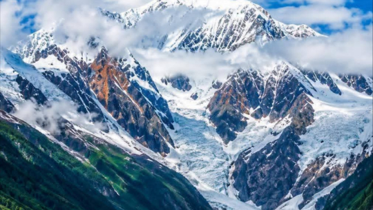 रानीसैन विवाद वन्यजन्तु र जडिबुटी तस्करीसँग जोडिएको छः डिभिजन वन प्रमुख डिसी
