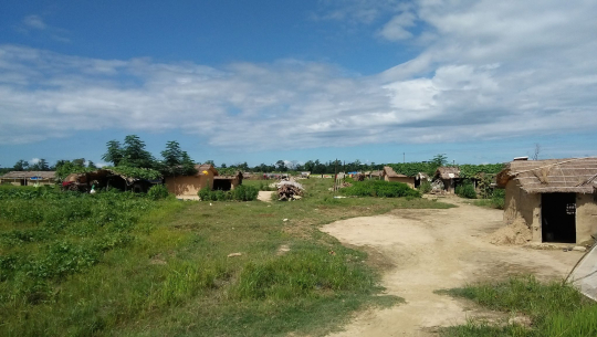 हरैयाबाट धनगढीको धुर्जन्ना शिविरमा सारिएका सुकुम्बासीको बेहाल