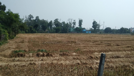 फाइल फोटो 