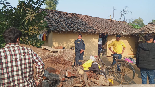 धनगढीमा वैधानिक रुपमा सुकेका रुख काट्न बेवास्ता, रातारात पारिन्छ गायब