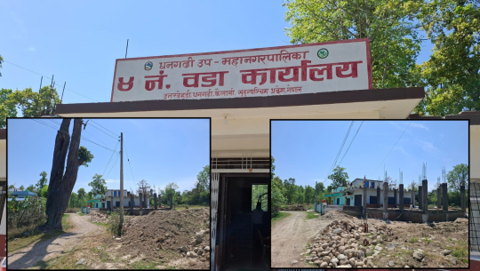 धनगढी-४ मा सेनाले छोडेको वनको जग्गामा व्यक्तिहरुको कब्जा