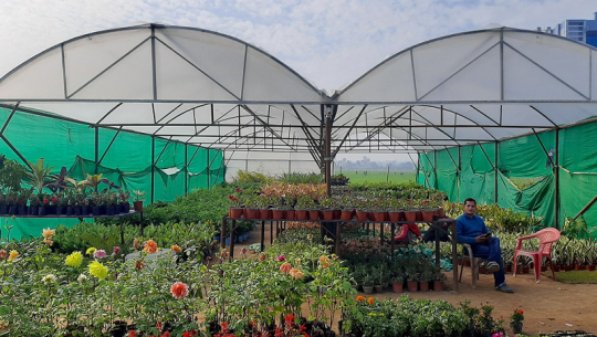 धनगढीका सुरेश विश्वकर्माको नर्सरी व्यवसायबाट मासिक ४० हजार बचत