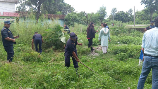 कञ्चनपुरमा गाँजा फडानी कार्यक्रम सम्पन्न