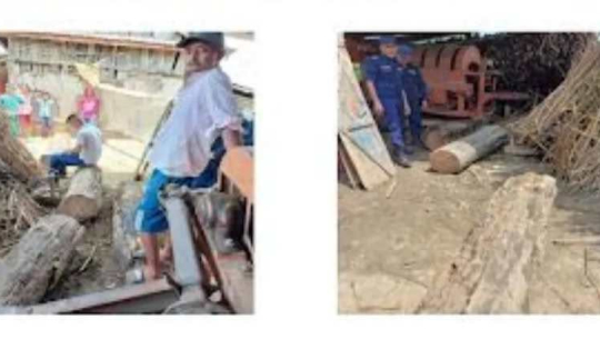 कञ्चनपुरमा अवैध सिसमको काठसहित एक जना पक्राउ