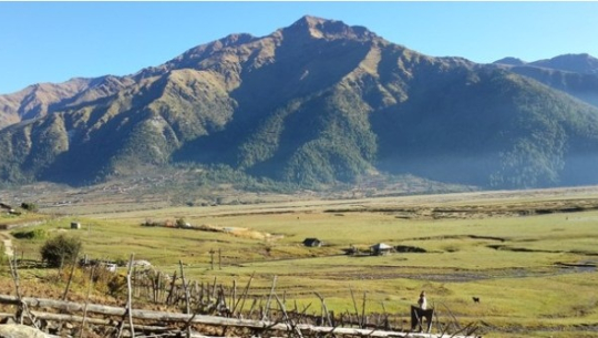 फाइल फोटो 