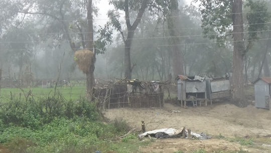 फाइल फोटो 