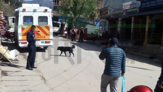 एम्बुलेन्समा चित्तल तस्करी गर्ने चालक बोहरा धरौटीमा रिहा
