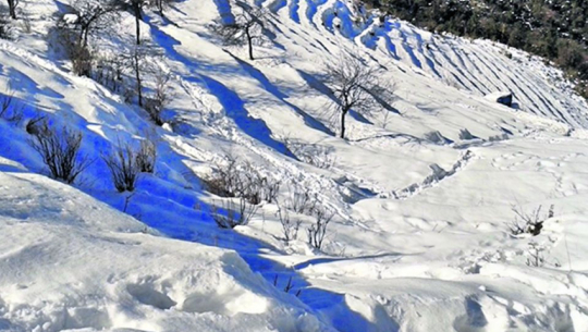 फाईल तस्बिर  