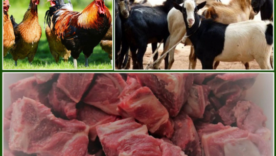 Meat production in the Far West increases by 7.29 percent