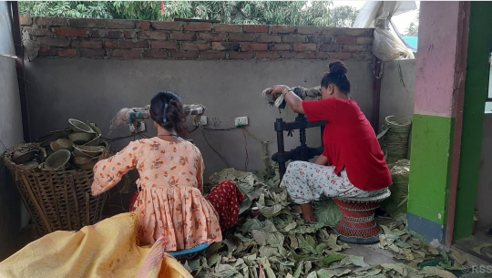 दुनाटपरी उद्योगबाट मनग्य आम्दानी गर्दै भावना