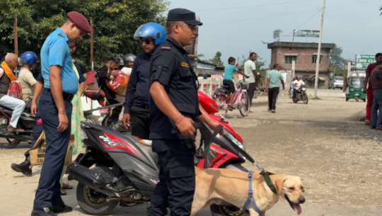 गौरीफन्टा र गड्डाचौकी सीमा नाकामा घर फर्कनेको घुँइचो, कुकुरबाट चेकजाँच