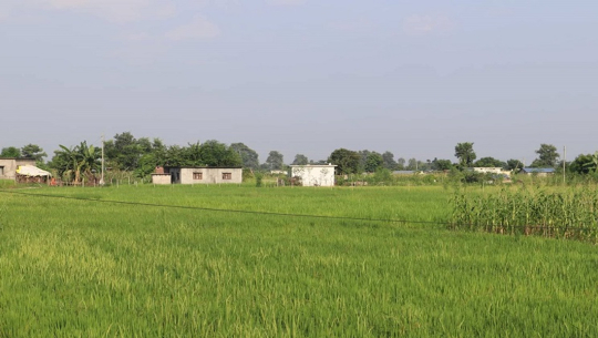 तङ्ग्रिँदै महाकालीपारिको दोधारा चाँदनी
