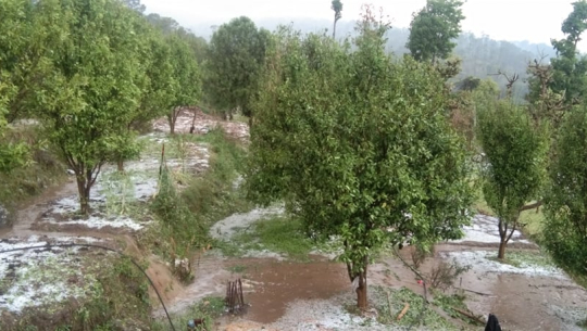 कैलालीको चुरेमा असिना पानी