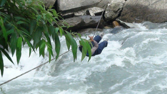 दार्चुलामा तुइनबाट खसेर १० वर्षीय बालक बेपत्ता