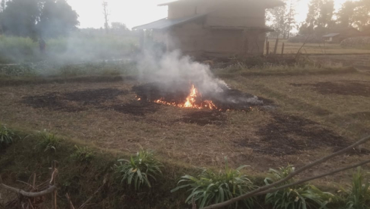 गहुँ काटेको खेतमा आगो नलगाउन सुझाव