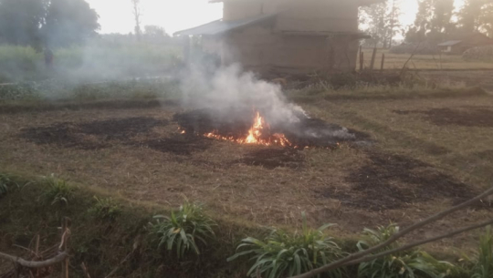 गहुँका नल सफाइ गर्दा खेतबारीमा आगो नलगाउन पालिकाद्वारा आग्रह