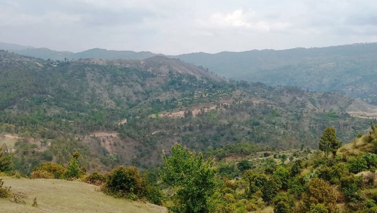 डडेल्धुराको अजयमेरुमा सडक बनाउने अपरेटरले एक वर्षसम्म पनि पारिश्रमिक पाएनन्