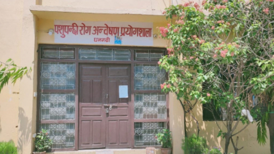 धनगढी प्रयोगशालामा २४ घण्टामा २२३ जनाको कोरोना परीक्षण