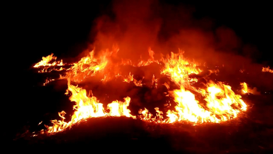 डोटीमा आगोले जलेर एक महिला घाइते