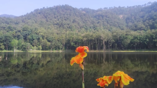 आहा ! आलिताल