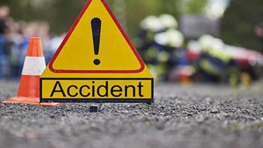 Driver dies in road mishap