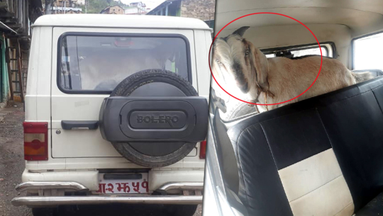 फोटोः अछामका सिद्धप्रसाद ढुंगानाको फेसबुक वालबाट