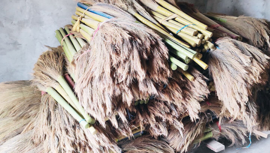 कञ्चनपुको कृष्णपुरका स्थानीय अम्रिसो खेतीतर्फ आकर्षित