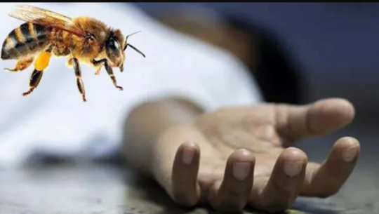 अछाममा अरिङ्गालको टोकाइबाट एक बालिकाको मृत्यु