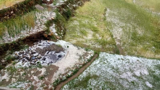 फाईल फोटो