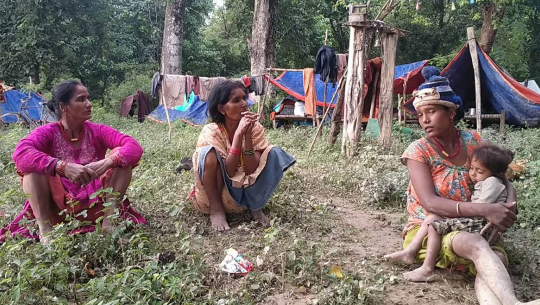 कञ्चनपुर बाढी प्रभावितको जङ्गलमा बास, कहाँ छ सरकार ? 