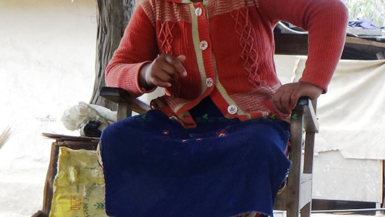 कैलालीमा अश्लील भिडियोे देखाएर १३ वर्षीया बालिकामाथि बलात्कार, पेटमा ३ महिनाको बच्चा