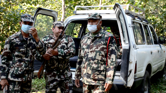 बाघले महिलाको ज्यान लिएपछि कैलालीको वसन्ता वन क्षेत्रमा सन्त्रास