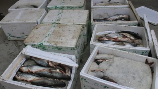 फाइल फोटो 