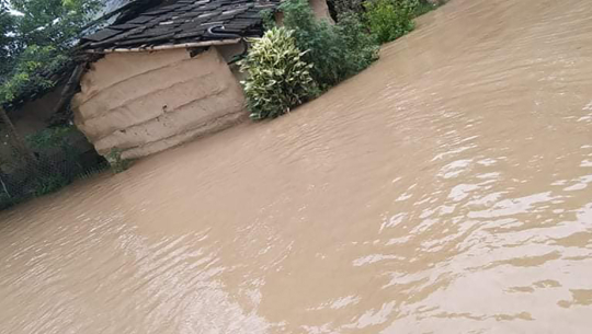 वर्षाका कारण कैलालीमा १६ घरमा आंशिक क्षति