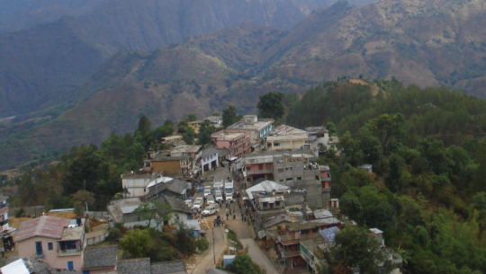 49 scrub typhus patients recorded in a month