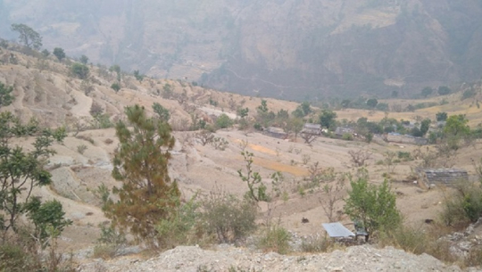 बझाङमा खडेरीका कारण गहुँको उत्पादनमा ह्रास