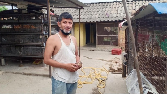 बट्टाई पालनमा युवा आकर्षित