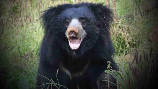 फाइल फोटो 