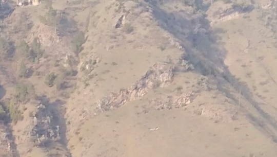 बैतडीमा भीरबाट लडेर एक छात्रा घाइते 