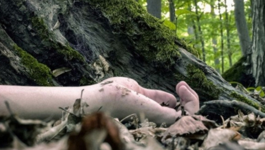 बझाङमा काफलको रुखबाट लडेर एक महिलाको मृत्यु