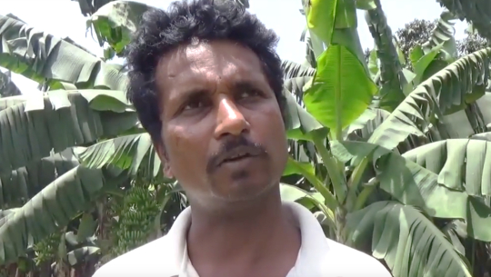 केरा खेतीमा जमेका विनोद:एक विगाहबाट सुरु गरेर ९० विगाह क्षेत्रफलमा विस्तार (भिडियो)