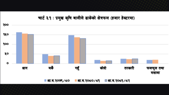 सुदूरपश्चिममा प्रमुख कृषि बालीको क्षेत्रफल र उत्पादन बढ्यो