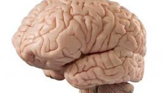 के हो मस्तिष्कघात, किन हुन्छ र के हुन लक्षण?