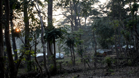 सुदूरपश्चिममा वन अतिक्रमण बढ्दो, खाली गराउन सक्दैनन् कर्मचारी 