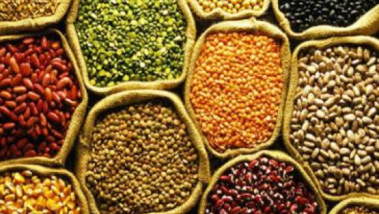 महेन्द्रनगरमा खाद्यान्न बिक्री कक्ष सञ्चालन