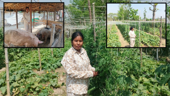 तरकारीखेती र बङ्गुरपालनबाट आत्मनिर्भर बन्दै मनिषा चौधरी