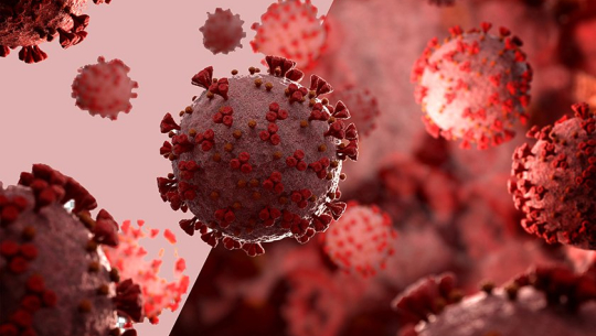 नेपालमा २४ घण्टामा थपिए ३३६५ संक्रमित