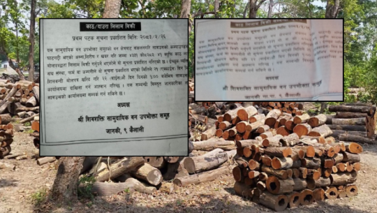 Shivashakti community forest in Kailali issues two separate notices for same timber auction