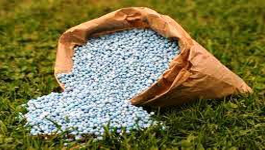 फाइल फोटो 